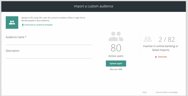 import a custom audience